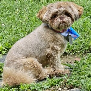 Meet your Posher, Teri